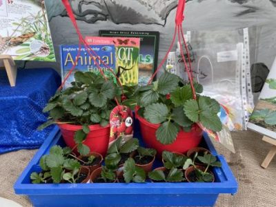 Strawberry Shoots in Science