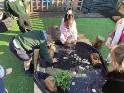 Butterfly Class