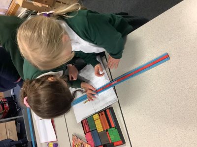 Rabbit Class